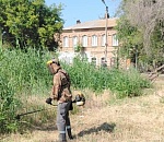 Астрахань усиленно очищают от камыша и сорной растительности