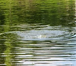 В Астрахани нашли утонувшего мужчину, который 12 дней считался пропавшим без вести 