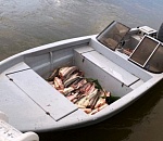 Под Астраханью пограничники и полицейские задержали три браконьерские группы с крупной добычей осетровых и частика