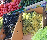 В Астрахани снова пройдет сельскохозяйственная ярмарка