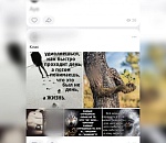 Астраханца арестовали за экстремистские публикации в Интернете 