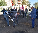 В Астрахани массово озеленяют парки и скверы