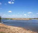 Западные подстепные ильмени внесут в госпрограмму