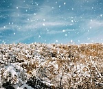 Весь понедельник в Астраханской области будет минусовая температура с небольшим снегом