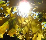 Астраханская погода в ноябре