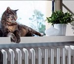 Стало известно, когда астраханцам отключат отопление