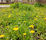 Завтра погода вернет астраханцам весну