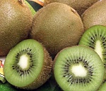 Греки хотят выращивать под Астраханью киви