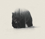 Реальная демократия на праймериз