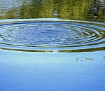 Под Астраханью третью неделю ищут тело утонувшего мужчины