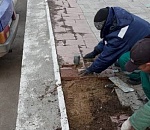 В Астрахани набережная Волги увидит новую плитку