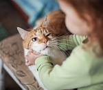 Госдума приняла закон Олега Шеина о живодёрах