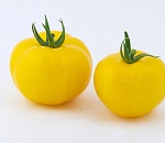 В Астраханской области выращивают «Лимончелло» и ТТ-818 