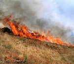 МЧС прогнозирует чрезвычайную пожароопасность в Астраханской области 