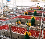 В Астраханской области в этом году запустят завод за 8 миллиардов рублей