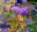 В среду астраханцам обещают ветреную погоду и местами дожди