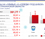 Оливье за год подорожало на 16%, селедка под шубой на 20%, подсчитал Астраханьстат