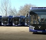 В Астрахани на «синебасы» требуется около 200 водителей