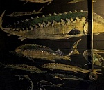 Астрахань волновала, всегда заставляла вернуться: московская художница рассказала о городе, который стал для нее почти родным