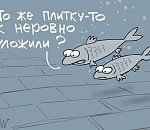 Затопит или не затопит? Что ждать астраханцам от паводка