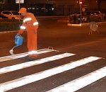 В Астрахани завелись зебры со стеклянными шариками