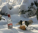 Что изменится в феврале