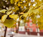 Завтра в Астраханской области будет тепло, но серо