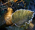 В Астрахани столбик термометра опустится ниже ноля