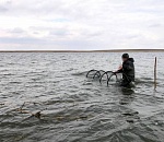 В астраханском природном заказнике поймали молодого браконьера