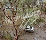 В Астрахани на одну из иномарок четко приземлилось дерево