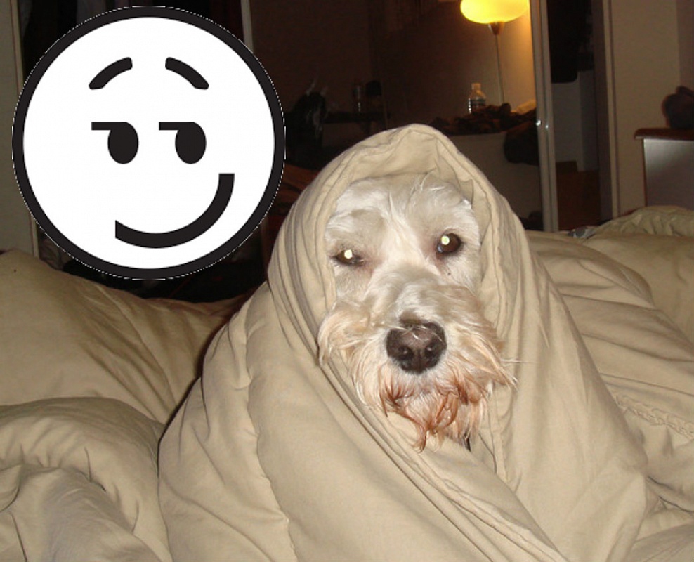 «Нет плохой погоды, есть недостаток отопления». Обзор соцсетей