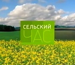 Сколько намолотили, собрали, накопали и развели астраханские аграрии в январе-сентябре 2022 года