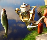 Полиция три дня искала астраханца, пока он рыбачил, позабыв о жене