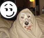 «Нет плохой погоды, есть недостаток отопления». Обзор соцсетей