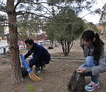 В Астрахани до конца лета каждую пятницу будут проходить субботники