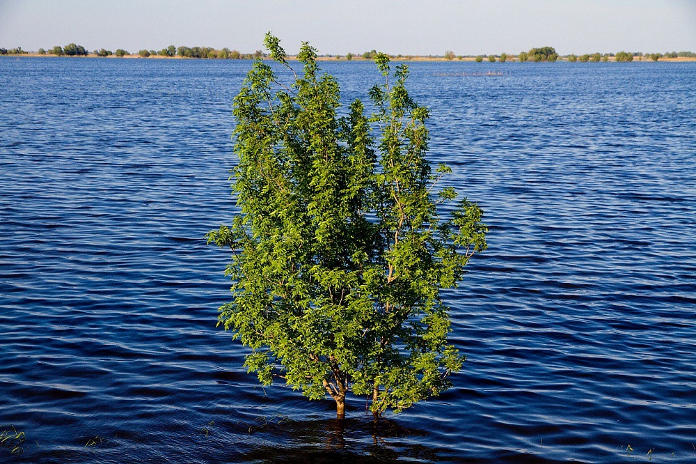 Половодье в Астраханской области оказалось экстремально маловодным