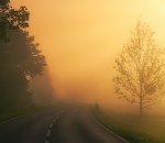 В среду в районах Астраханской области ожидается дождь, а в городе - туман