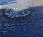 ЗаSHITим наш город: астраханская улица утонула в фекалиях (ВИДЕО)