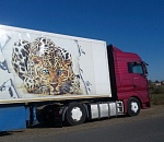 Фуру с водкой из Оренбурга задержали в Астраханской области