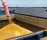 За февраль из Астраханской области экспортировали более 200 тысяч тонн зерновой продукции