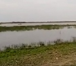 Поиск тел детей, утонувших в Астраханской области, продолжается: видео и фото