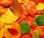 В четверг астраханцев снова ждет ветреный прохладный день