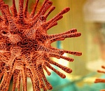 В России за сутки выявлено почти полторы тысячи новых случаев коронавируса