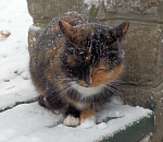 Астраханцев ждут самые холодные ночь и день