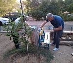 Экологический патруль облагородил астраханский дворик