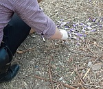 В Астрахани по земле разбросали лабораторные пробирки с кровью