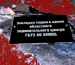 Пять конкурсов провалено, перинатальный центр не строится, нехватка средств - 400 миллионов