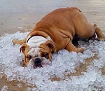 Адская жара в Астрахани отступила