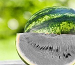 Астраханцы-семеноводы потратили 15 лет и все-таки вывели белый арбуз