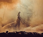 С начала года в Астраханской области произошло 790 возгораний сухой растительности